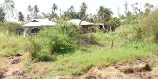 Budalangi