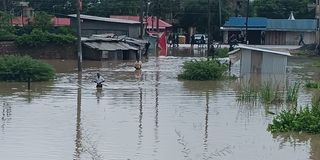 Mombasa floods