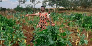 Sylvia Kuria