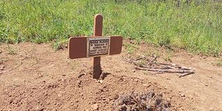 Grave