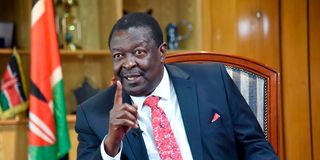 Prime Cabinet Secretary Musalia Mudavadi