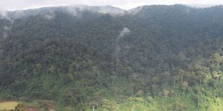 Embobut Forest