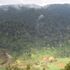 Embobut Forest 