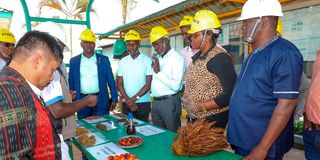 Oil palm