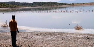 Lake Magadi 
