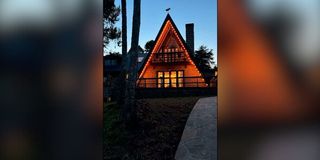 Forest cabin
