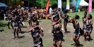 Rusinga Cultural Festival