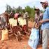 Subsidised Fertiliser 
