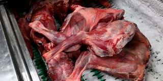 dog meat