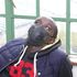Clement Kiarie