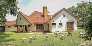 William Mutilangi