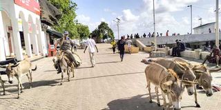 Lamu Old Town