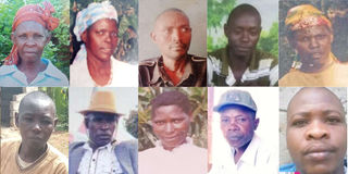 Kirinyaga illicit brew deaths
