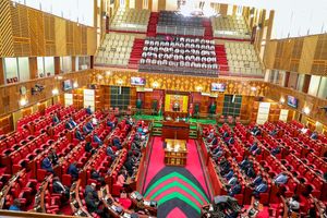 Parliament 2024