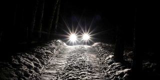 lights