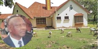 William Mutilangi