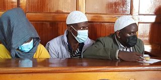 Terror convicts