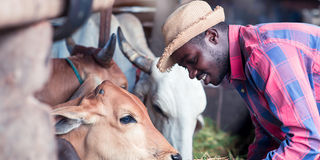 Livestock farmer