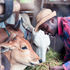 Livestock farmer