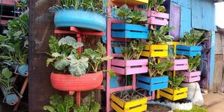 vegetables