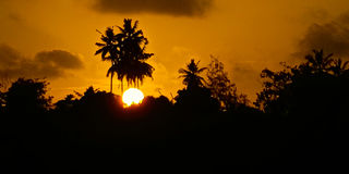 Diani Beach