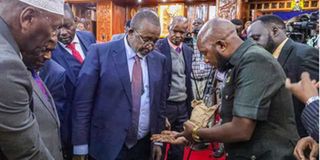 Mithika Linturi in Senate