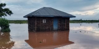 floods
