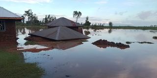 floods