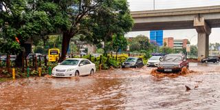 Heavy rains