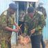 illicit brews