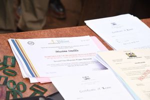 Fake academic certificates