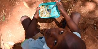 feeding programme