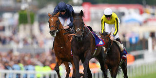 Ryan Moore