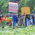 Anti-Finance Bill, 2024 demonstrators 