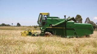 Combine harvester