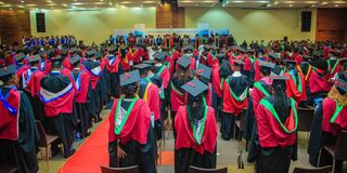 Udsm