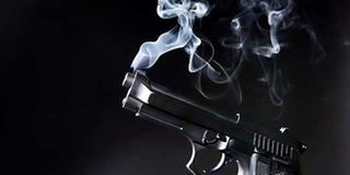 Gun 