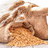 Wheat