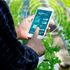 AI in agriculture
