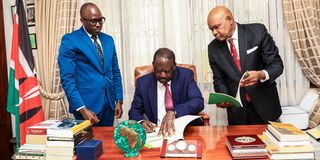 Raila Odinga