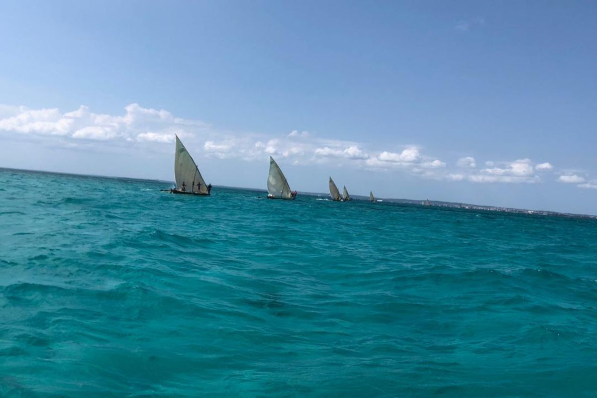 Mashindano ya mbio za ngalawa yalivyonoga Zanzibar | Mwananchi