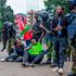 Nane Nane protests
