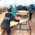 Jimarka Wood Company Limited