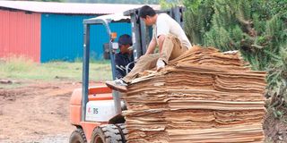 plywood