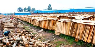 Plywood