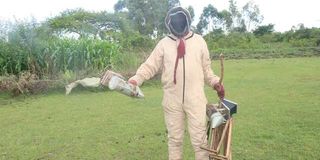 Bee keeping