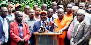 ODM leaders