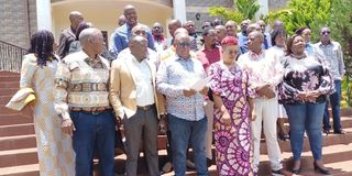 UDA MPs mt kenya