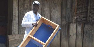 Beekeeping in Kajiado