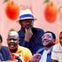 ODM leaders